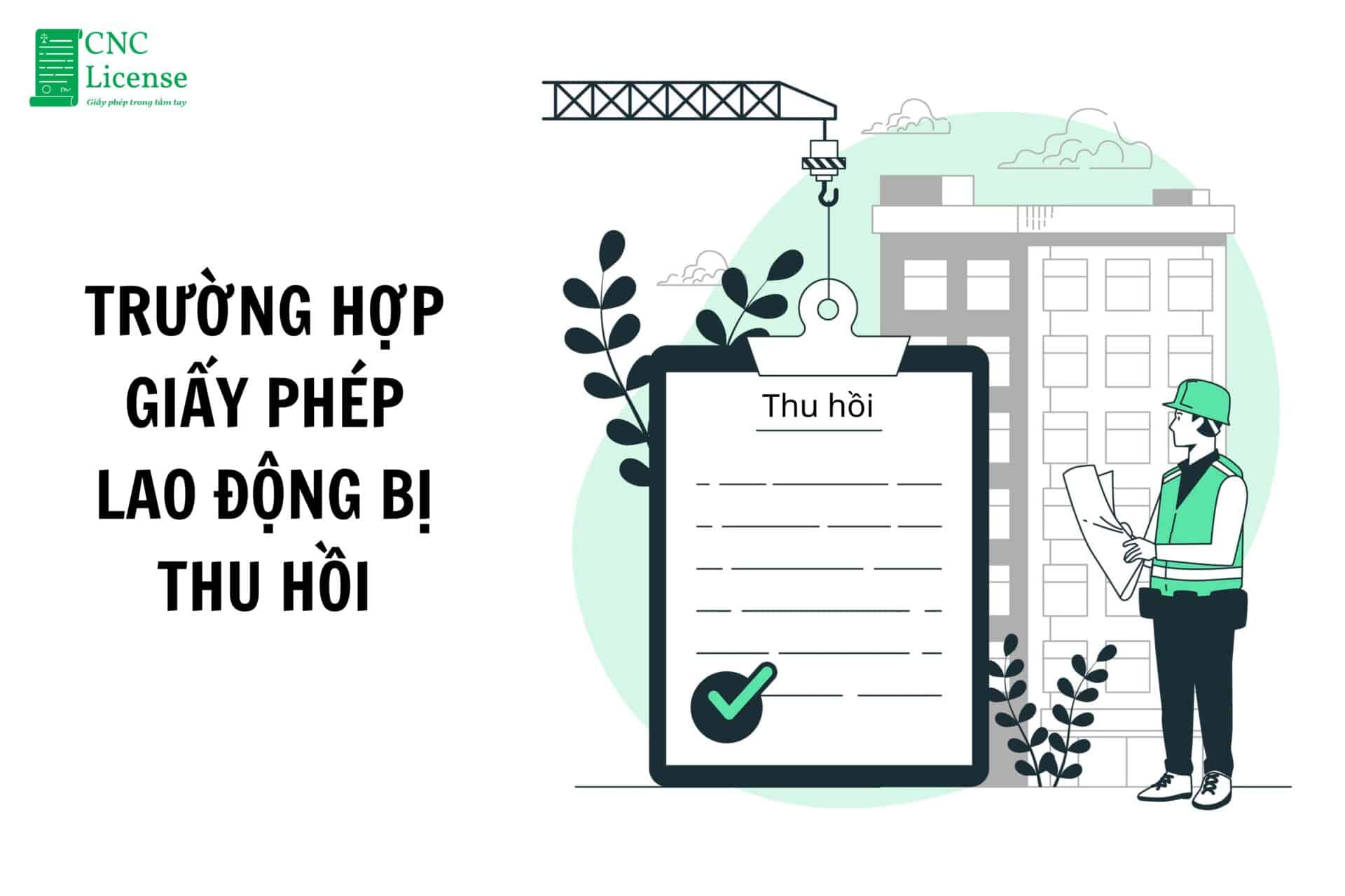 09 Trường hợp giấy phép lao động bị thu hồi