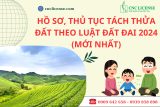 Người Việt Nam định cư nước ngoài có được nhận chuyển nhượng quyền sử dụng đất và quyền sở hữu nhà ở hay không?